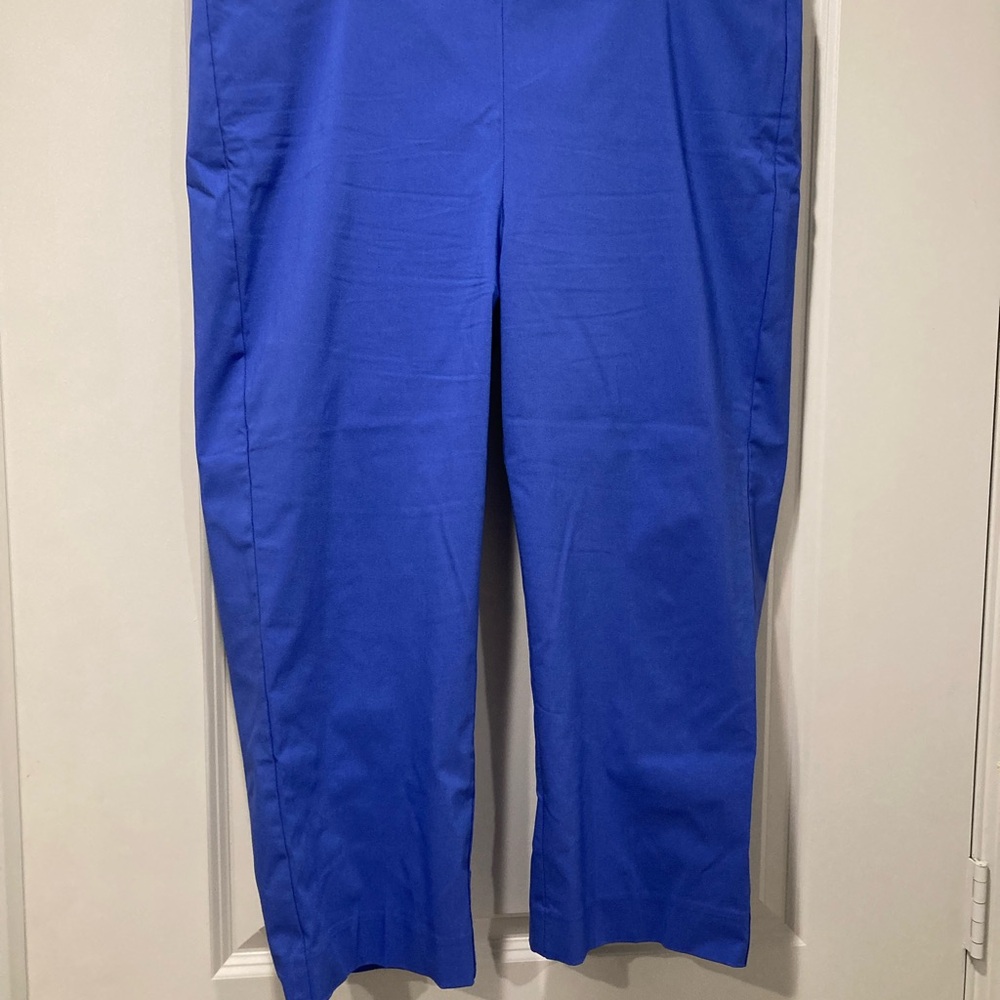 Chicos Vibrant Blue Pants